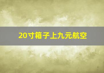 20寸箱子上九元航空