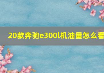 20款奔驰e300l机油量怎么看