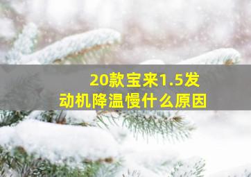 20款宝来1.5发动机降温慢什么原因