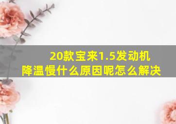 20款宝来1.5发动机降温慢什么原因呢怎么解决