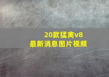 20款猛禽v8最新消息图片视频