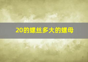 20的螺丝多大的螺母