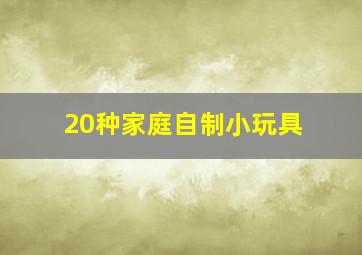 20种家庭自制小玩具