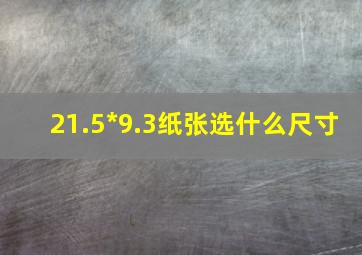 21.5*9.3纸张选什么尺寸