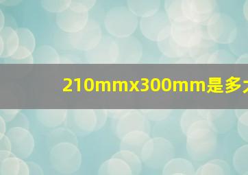 210mmx300mm是多大