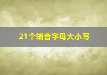 21个辅音字母大小写