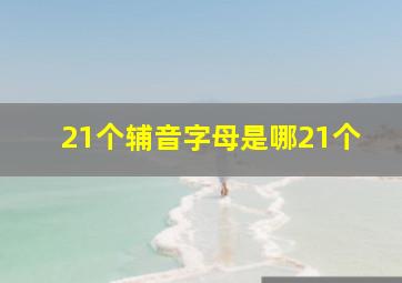 21个辅音字母是哪21个