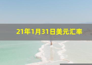 21年1月31日美元汇率