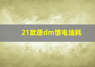 21款唐dm馈电油耗