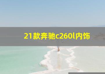 21款奔驰c260l内饰