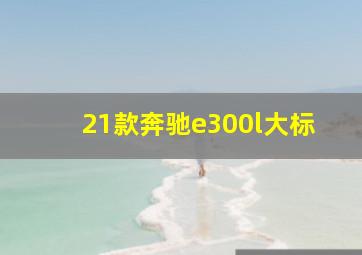 21款奔驰e300l大标