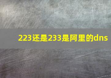 223还是233是阿里的dns