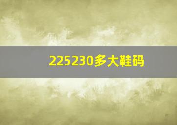 225230多大鞋码