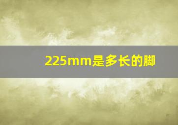 225mm是多长的脚