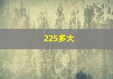 225多大