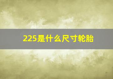 225是什么尺寸轮胎