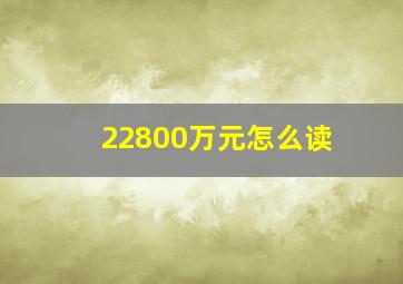 22800万元怎么读