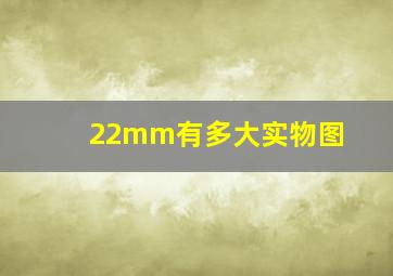 22mm有多大实物图