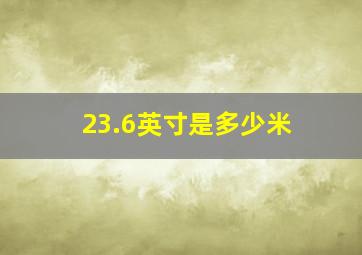 23.6英寸是多少米