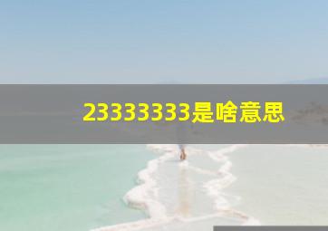 23333333是啥意思