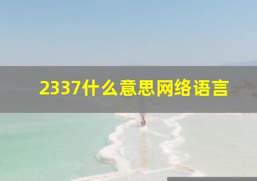 2337什么意思网络语言