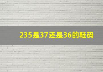 235是37还是36的鞋码