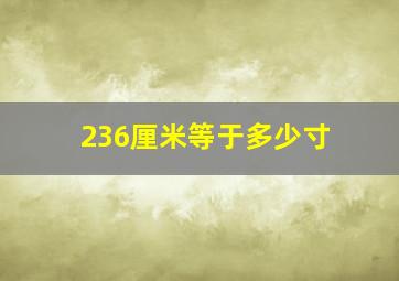 236厘米等于多少寸