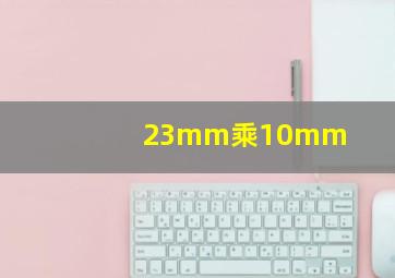 23mm乘10mm