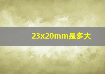 23x20mm是多大