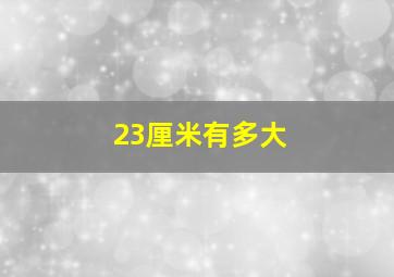 23厘米有多大