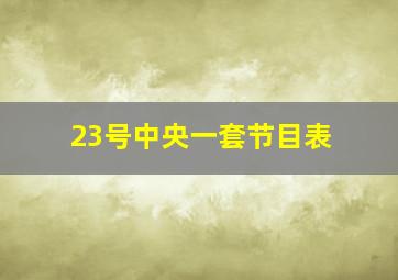 23号中央一套节目表