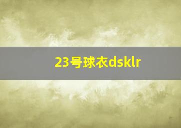 23号球衣dsklr