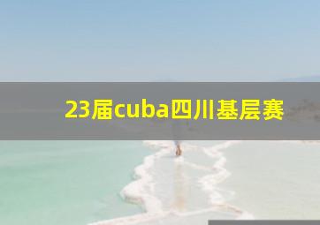 23届cuba四川基层赛