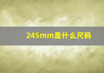 245mm是什么尺码