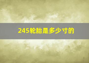 245轮胎是多少寸的