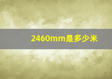 2460mm是多少米