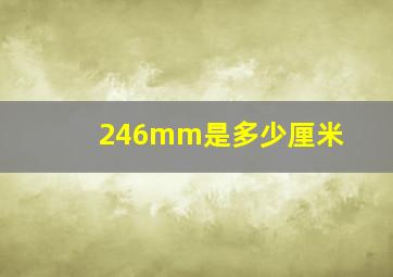 246mm是多少厘米