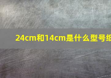 24cm和14cm是什么型号纸