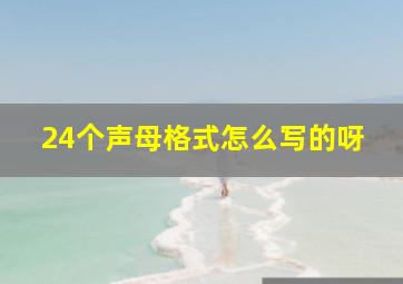 24个声母格式怎么写的呀