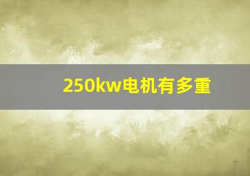 250kw电机有多重