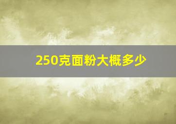 250克面粉大概多少