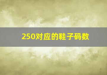 250对应的鞋子码数