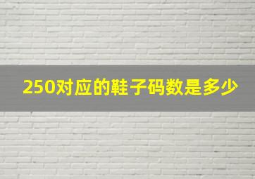 250对应的鞋子码数是多少