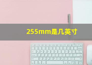 255mm是几英寸