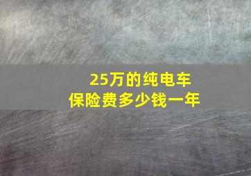 25万的纯电车保险费多少钱一年