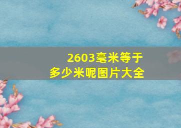 2603毫米等于多少米呢图片大全