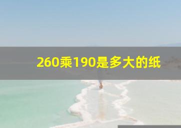 260乘190是多大的纸