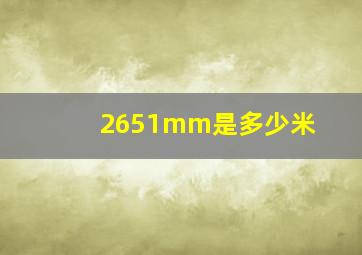 2651mm是多少米