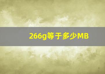 266g等于多少MB