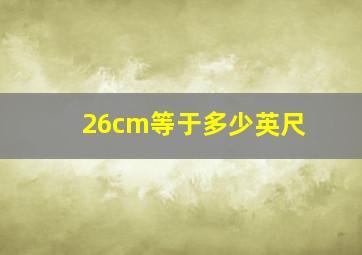 26cm等于多少英尺